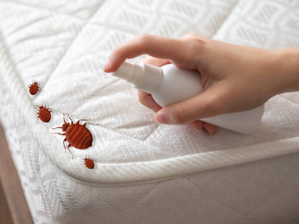Pest Control for Restaurants in Lower Burrell, PA