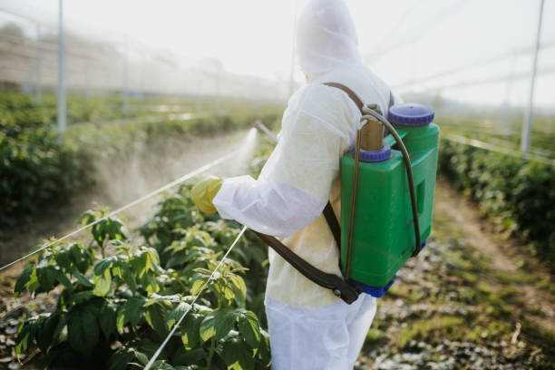 Best Pest Prevention Services  in Lower Burrell, PA
